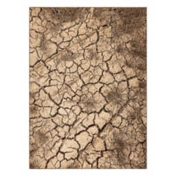 RugsX Carpet Karmel Terra Cracked Ground Nut  300X400 Cm - thumbnail 3