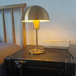CGC Lighting Cgc Brushed Gold Mushroom Table Lamp - thumbnail 1