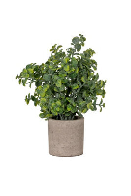 Eucalyptus Plant In Stone Effect Pot, Realistic Artificial Decor - image 1