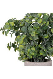 Eucalyptus Plant In Stone Effect Pot, Realistic Artificial Decor - thumbnail 2