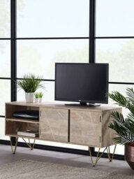 Worcester Light Gold Television Media Unit