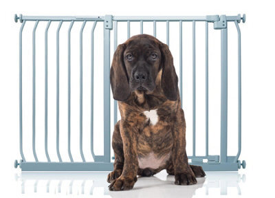 Bettacare Elite Pressure Dog Gate, 116Cm - 125Cm, Matt Grey, Pressure Fit Pet Gate For Dog And Puppy - image 1