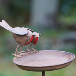 Burgess Xl Robin Birdbath Metal Garden Feeder Ornament British Bird Outdoor Statue Duo Robins Decoration Gift - thumbnail 7