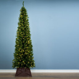 Christmas Tree World The Pre-Lit 8Ft/240Cm Green Italian Pencilimo Christmas Tree - thumbnail 2