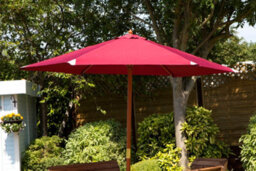 Charles Taylor Trading Burgundy Parasol