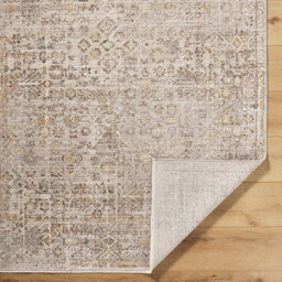 Livabliss Galey Alix Myrtle Avenue-Vintage Beige Grey Brown Traditional Boho Fringe Living Dining Bedroom Rug 200 X 275 Cm Easy Care - thumbnail 3