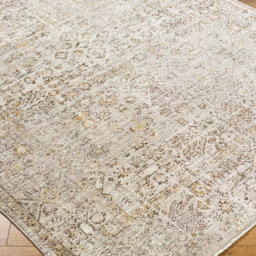 Livabliss Galey Alix Myrtle Avenue-Vintage Beige Grey Brown Traditional Boho Fringe Living Dining Bedroom Rug 200 X 275 Cm Easy Care - thumbnail 5
