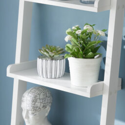 Sobuy Frg17-W, 5 Tiers Ladder Shelf Bookcase Storage Display Shelving Wall Shelf,white,w56Xd32.5Xh190 - thumbnail 8
