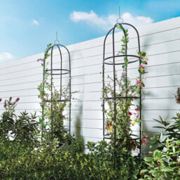 Gainsborough Garden Obelisks Arch Plant Flower Metal Frame, 1.9M ,set Of 2, Strong Tubular Steel, Hooped Finial - thumbnail 1