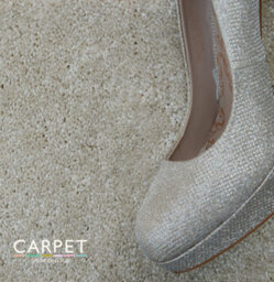 Carpet Shop Online Havana Light Cream Beige Saxony Carpet 1.75M X 4M - thumbnail 7