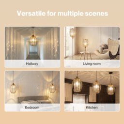 Emitto Crystal Ceiling Light Shade Pendant Lamp Shade Table Floor Lamps - thumbnail 8
