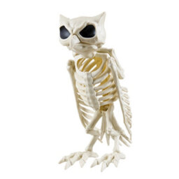 Living And Home Spooky Owl Skeleton Figurine Plastic Bone Statue Realistic Owl Skeleton For Halloween Decor - thumbnail 3