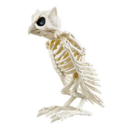 Living And Home Spooky Owl Skeleton Figurine Plastic Bone Statue Realistic Owl Skeleton For Halloween Decor - thumbnail 4
