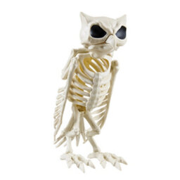 Living And Home Spooky Owl Skeleton Figurine Plastic Bone Statue Realistic Owl Skeleton For Halloween Decor - thumbnail 5