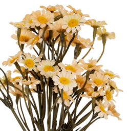 Hill Interiors Cream Daisy Bunch Artificial Flower - Plastic - L16 X W16 X H27 Cm - Cream - thumbnail 2