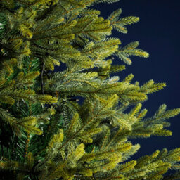 QGS 6Ft (180Cm)  Rocky Mountain Pine - Premium Pre-Lit Artificial Christmas Tree - 340 Pre Lit Led Lights - thumbnail 2