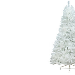 Christmas Tree World The 7Ft/210Cm Bianca Pine Christmas Tree - thumbnail 4