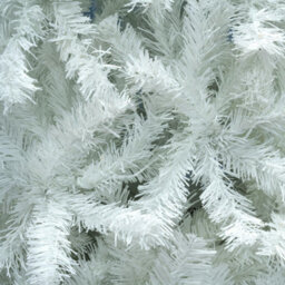 Christmas Tree World The 7Ft/210Cm Bianca Pine Christmas Tree - thumbnail 3