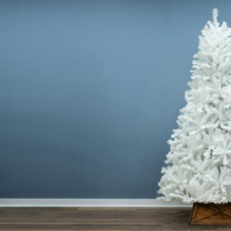 Christmas Tree World The 7Ft/210Cm Bianca Pine Christmas Tree - thumbnail 5