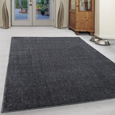 Abaseen120X170Cm Darkgrey Small Large Ata Rug Modern Rugs Rectangular Size Soft Touch 9mm Pile Height Area Rugs Non Shedding - image 1