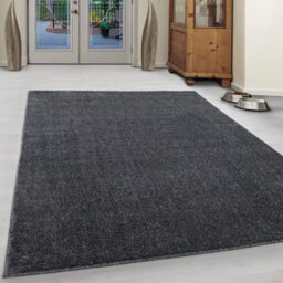 Abaseen120X170Cm Darkgrey Small Large Ata Rug Modern Rugs Rectangular Size Soft Touch 9mm Pile Height Area Rugs Non Shedding - thumbnail 1