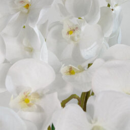 Leaf 85Cm Artificial Deluxe Bush Orchid - White - thumbnail 2