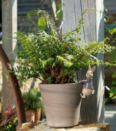 Jardinopia Pot Buddies Plant Pot Ornament - Beatrix Potter - Benjamin Bunny - thumbnail 6