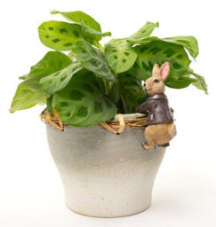 Jardinopia Pot Buddies Plant Pot Ornament - Beatrix Potter - Benjamin Bunny - thumbnail 4