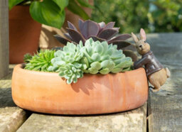 Jardinopia Pot Buddies Plant Pot Ornament - Beatrix Potter - Benjamin Bunny - thumbnail 3