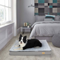 Bingopaw 110X85X10Cm Xl Memory Foam Platform Dog Bed Orthopedic Pet Bed Mattress Kennel Crate Pad - thumbnail 5