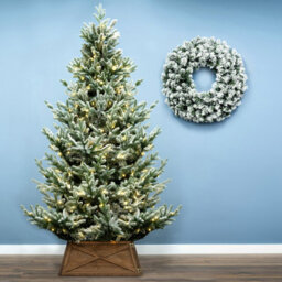Christmas Tree World The 10Ft/300Cm Pre-Lit Frosted Ultra Mountain Pine - thumbnail 2