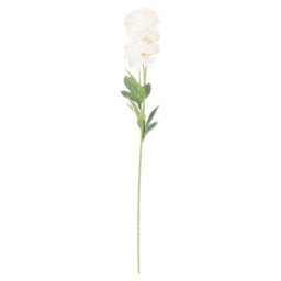 Wyld Haus Set Of 3 Cream Artificial Ranunculus Stems 800mm Faux Flowers