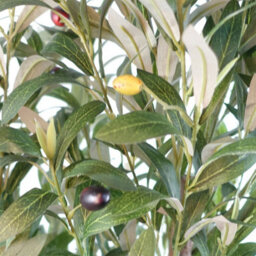 Leaf 120Cm Artificial Natural Look Olive Tree With Wooden Trunk - thumbnail 5