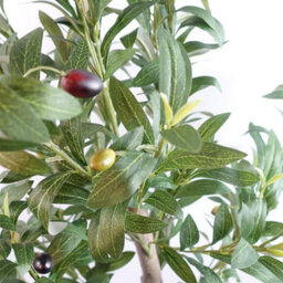 Leaf 120Cm Artificial Natural Look Olive Tree With Wooden Trunk - thumbnail 7