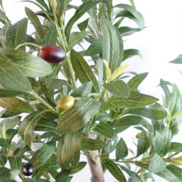Leaf 120Cm Artificial Natural Look Olive Tree With Wooden Trunk - thumbnail 3