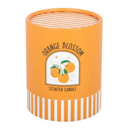 Something Different Orange Blossom Scented Candle Orange/white (One Size)