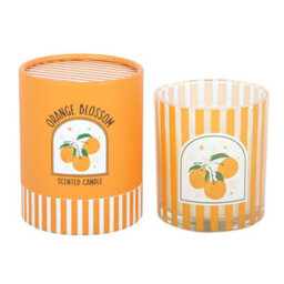 Something Different Orange Blossom Scented Candle Orange/white (One Size) - thumbnail 3