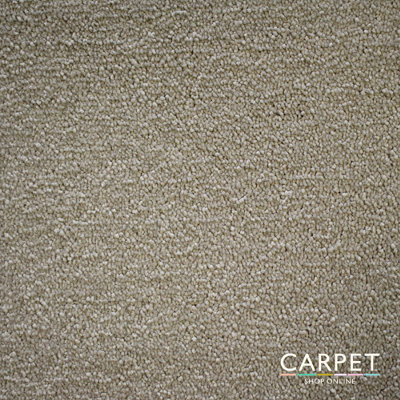 Carpet Shop Online Charm Modern Beige Twist Carpet 4M X 4M - image 1
