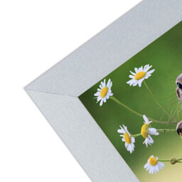 "AK Frames Sleek 15X10"" Silver Thin Modern Picture Frame - Slim And Design For Posters, Prints And Photos - Elegant Wall Frame Decor" - thumbnail 7
