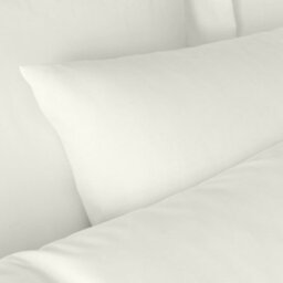 Bianca Fine Linens 180 Thread Count Egyptian Cotton Standard 50X75Cm Pack Of 2 Pillow Cases With Envelope Closure Cream - thumbnail 2