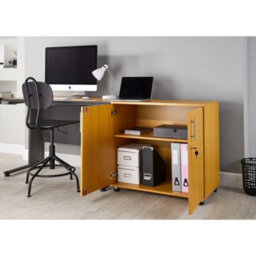 Storage Cabinet 2 Door Lockable Office Filing Cupboard Shoe Toy Desk Height - thumbnail 3