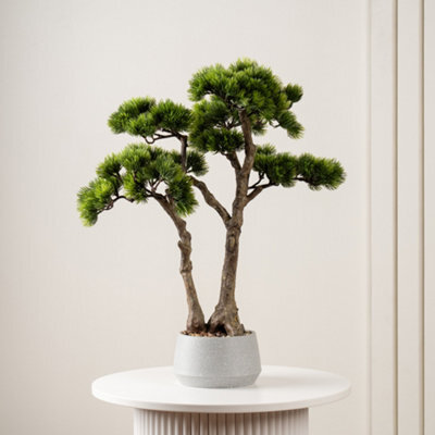 Scottish Everlastings Ltd. Scottish Everlastings 56Cm Artificial Bonsai Pine Tree In Cement Effect Pot