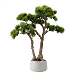 Scottish Everlastings Ltd. Scottish Everlastings 56Cm Artificial Bonsai Pine Tree In Cement Effect Pot - thumbnail 2