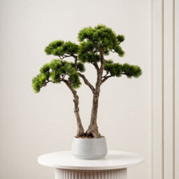 Scottish Everlastings Ltd. Scottish Everlastings 56Cm Artificial Bonsai Pine Tree In Cement Effect Pot - thumbnail 1