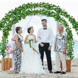 Artificial Ivy Garlands - Pack Of 24, 210Cm Long - thumbnail 6