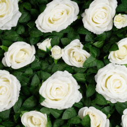 Scottish Everlastings Ltd. Scottish Everlastings 60X40Cm Artificial Rose+Foliage Flower Wall Backdrop Panel - Pack Of 2 - thumbnail 3