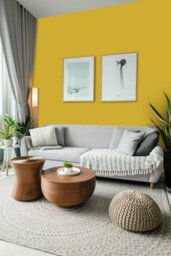 Crown Trade Vinyl Matt Walls & Ceilings Emulsion Paint Ral 090 70 70 (090 70 70) 5L - thumbnail 4