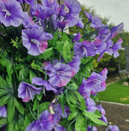 Best Artificial 75Cm Purple Morning Glory Trailing Flowers With Rattan Wicker Hanging Baskets For Indoor Outdoor Garden Use - thumbnail 6