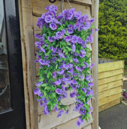 Best Artificial 75Cm Purple Morning Glory Trailing Flowers With Rattan Wicker Hanging Baskets For Indoor Outdoor Garden Use - thumbnail 7