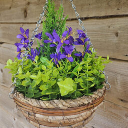 Best Artificial Purple Mini Daffodil Flower Display In 10 Inch Woven Decorative Hanging Basket - thumbnail 2